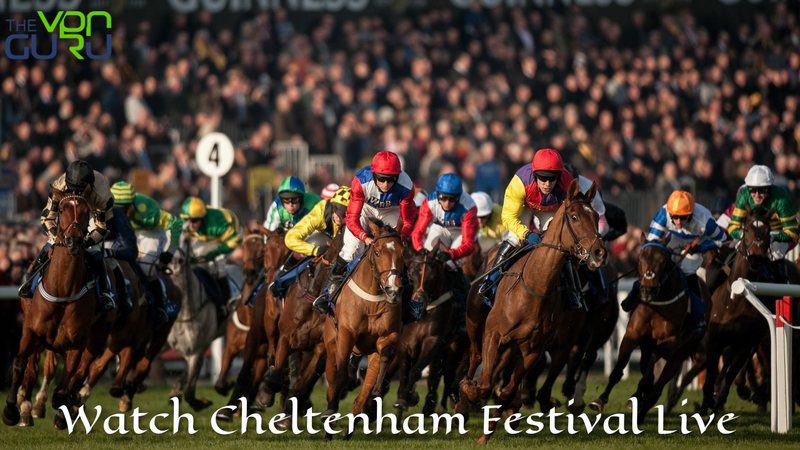 Racing TV / Road To Cheltenham LIVE from trackside - interviews, previews &  tips on the eve of the 2024 Festival