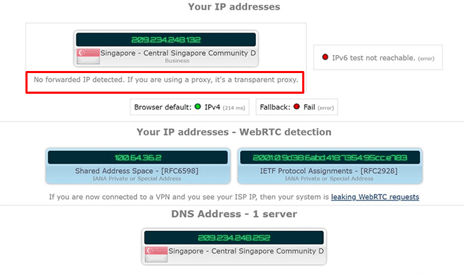 SurfShark DNS Leak Test