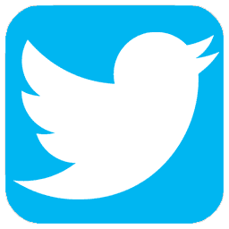 Twitter Icon